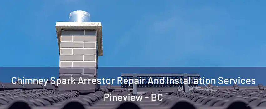  Chimney Spark Arrestor Repair And Installation Services Pineview - BC