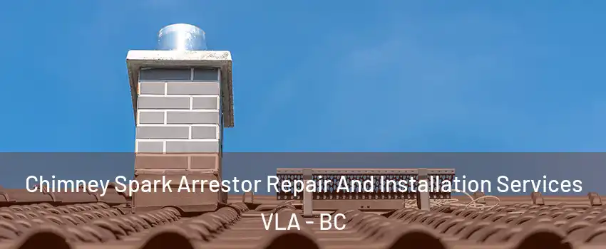  Chimney Spark Arrestor Repair And Installation Services VLA - BC