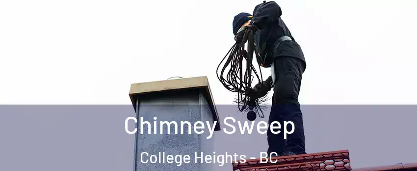  Chimney Sweep College Heights - BC