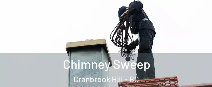  Chimney Sweep Cranbrook Hill - BC