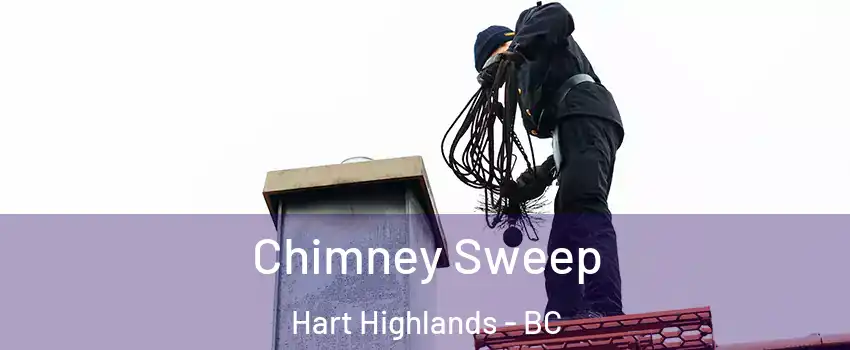  Chimney Sweep Hart Highlands - BC