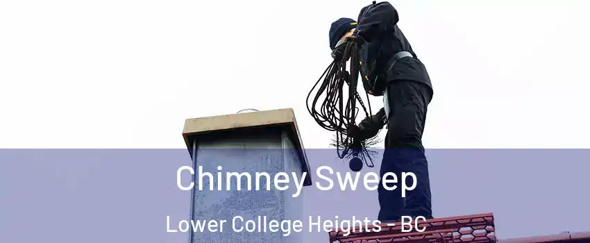  Chimney Sweep Lower College Heights - BC