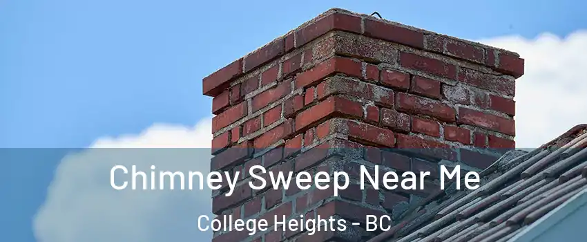  Chimney Sweep Near Me College Heights - BC