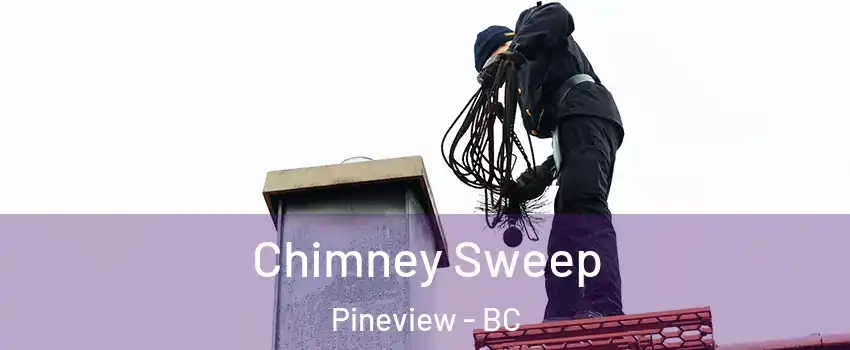  Chimney Sweep Pineview - BC