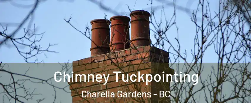  Chimney Tuckpointing Charella Gardens - BC