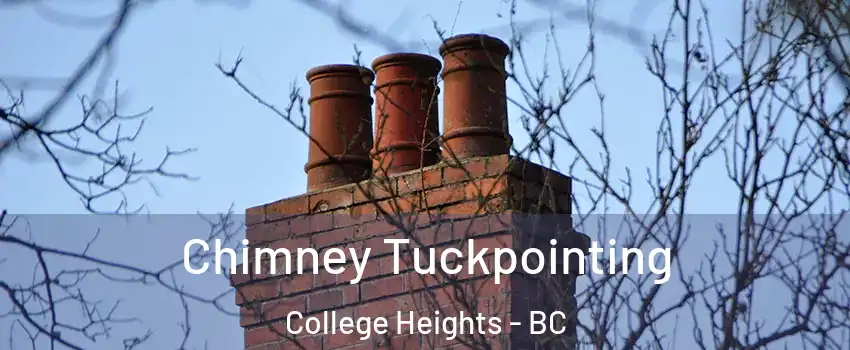  Chimney Tuckpointing College Heights - BC