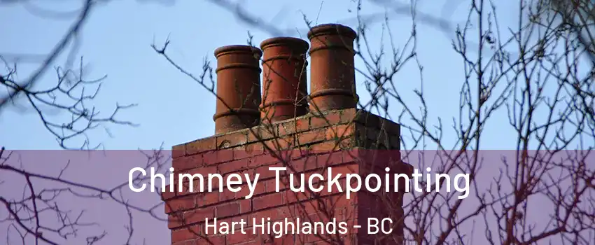  Chimney Tuckpointing Hart Highlands - BC