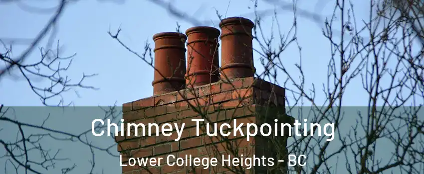  Chimney Tuckpointing Lower College Heights - BC