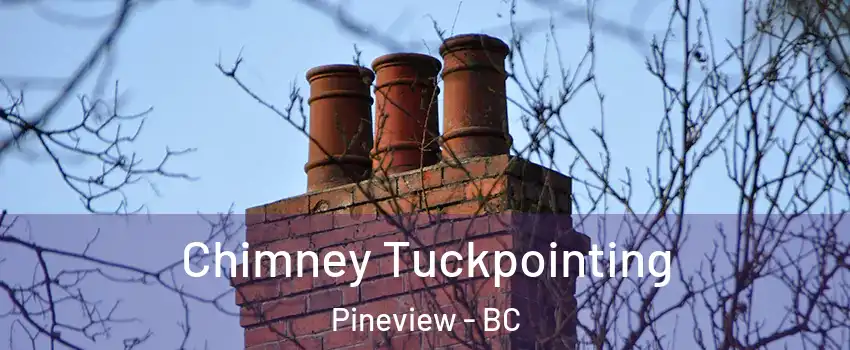  Chimney Tuckpointing Pineview - BC