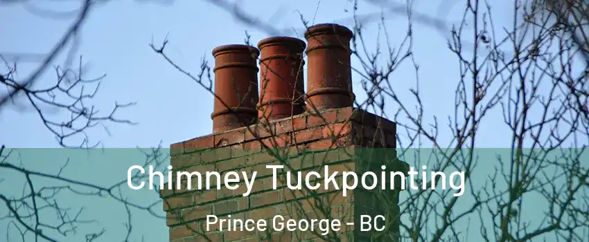  Chimney Tuckpointing Prince George - BC