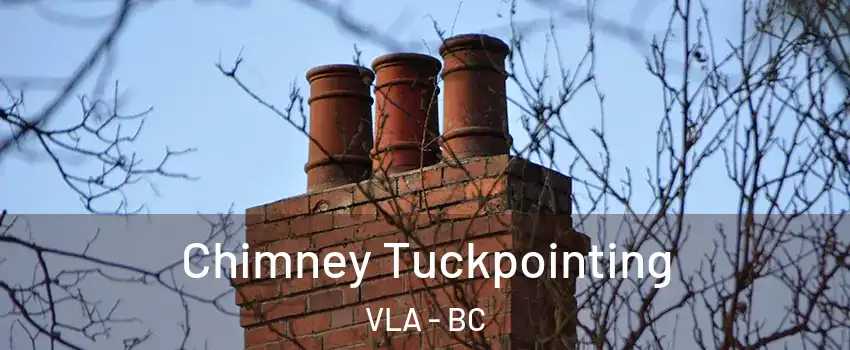  Chimney Tuckpointing VLA - BC