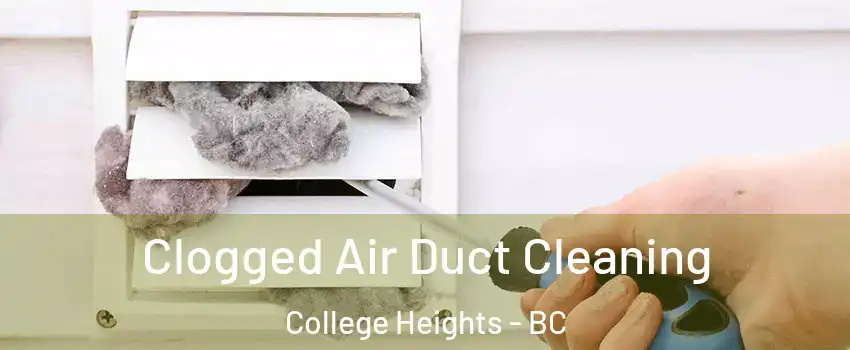  Clogged Air Duct Cleaning College Heights - BC