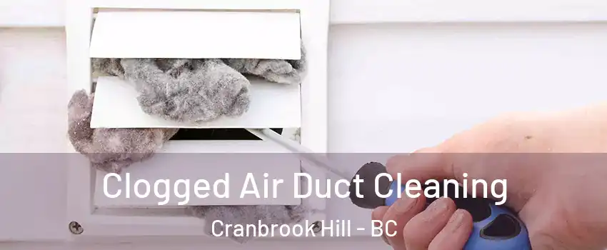  Clogged Air Duct Cleaning Cranbrook Hill - BC