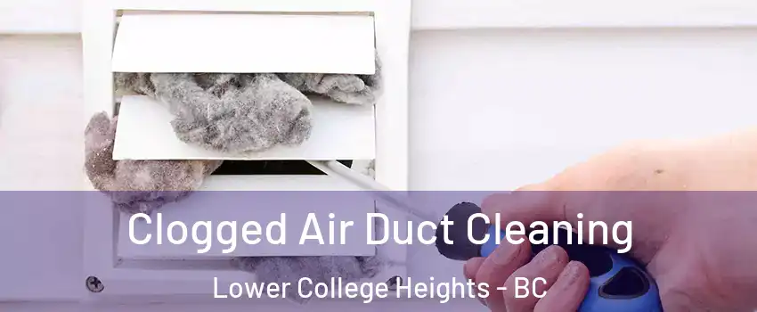  Clogged Air Duct Cleaning Lower College Heights - BC