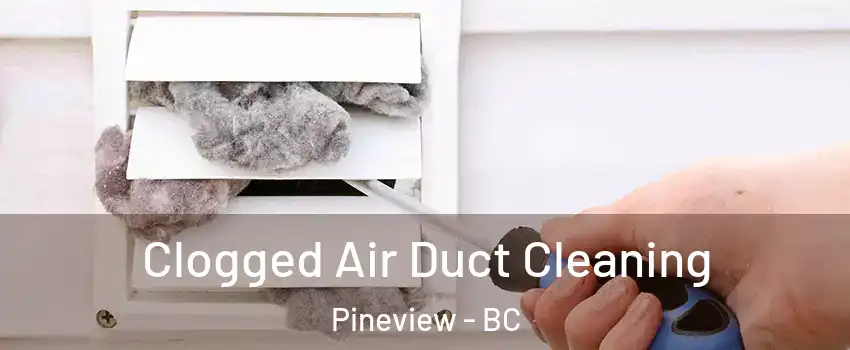  Clogged Air Duct Cleaning Pineview - BC