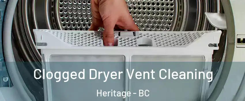  Clogged Dryer Vent Cleaning Heritage - BC