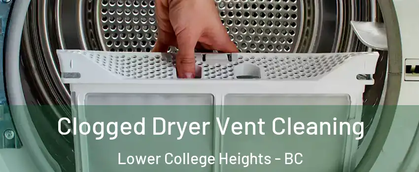  Clogged Dryer Vent Cleaning Lower College Heights - BC