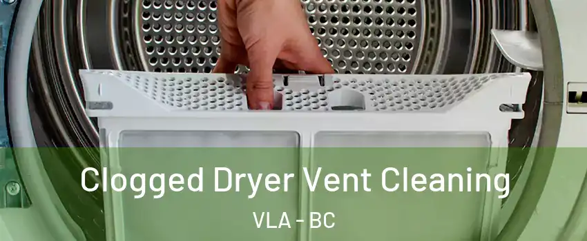  Clogged Dryer Vent Cleaning VLA - BC