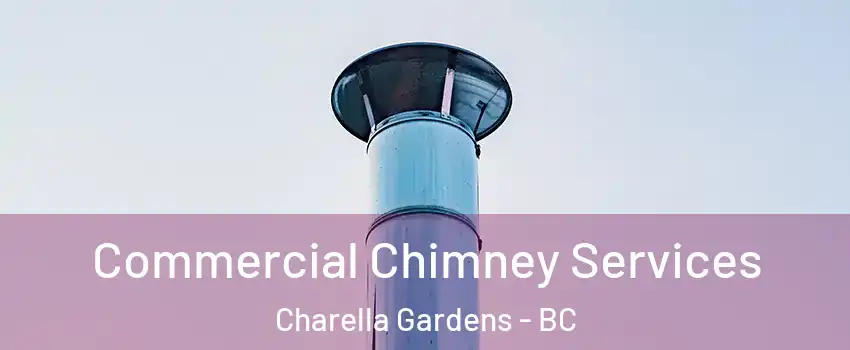  Commercial Chimney Services Charella Gardens - BC