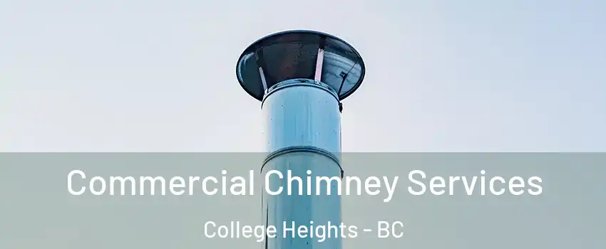  Commercial Chimney Services College Heights - BC