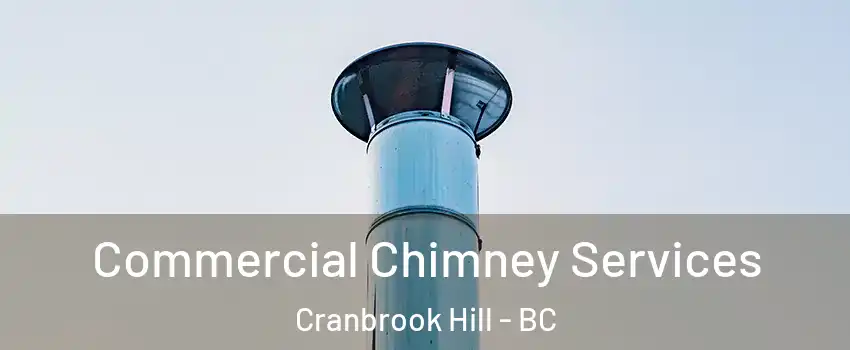  Commercial Chimney Services Cranbrook Hill - BC