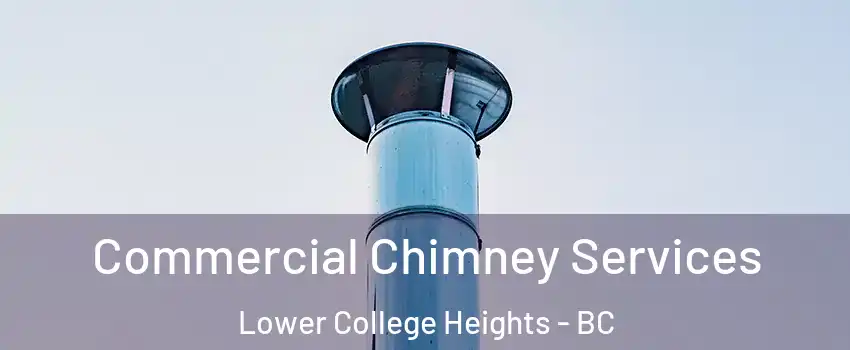  Commercial Chimney Services Lower College Heights - BC