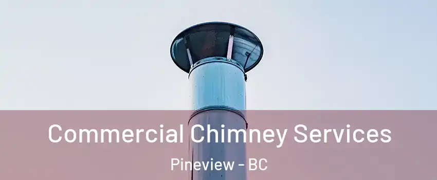  Commercial Chimney Services Pineview - BC