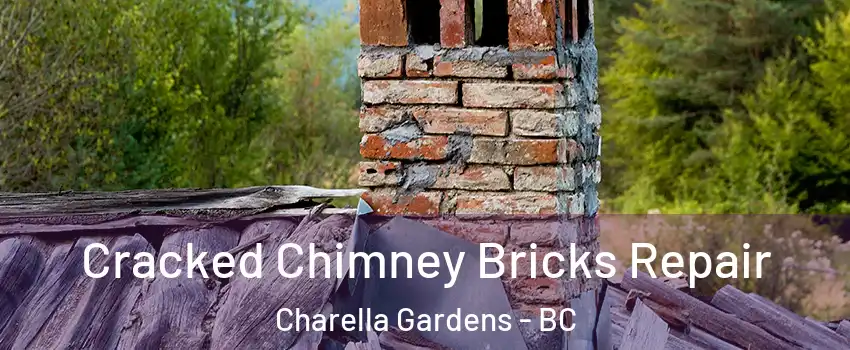  Cracked Chimney Bricks Repair Charella Gardens - BC