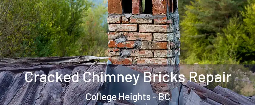  Cracked Chimney Bricks Repair College Heights - BC