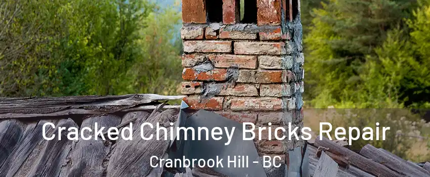  Cracked Chimney Bricks Repair Cranbrook Hill - BC