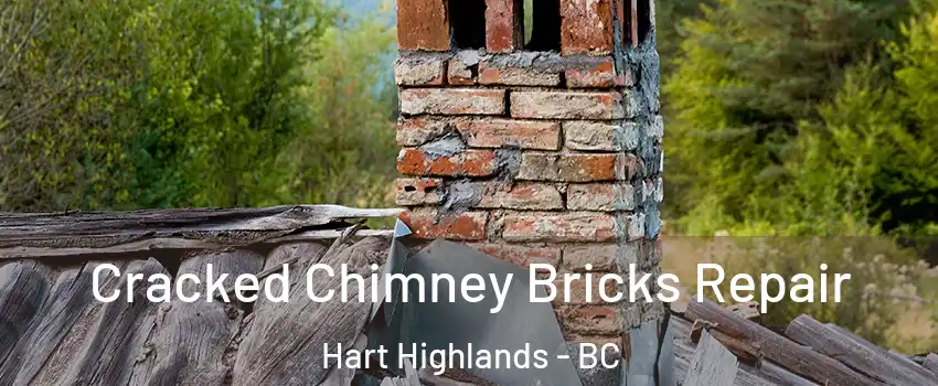  Cracked Chimney Bricks Repair Hart Highlands - BC