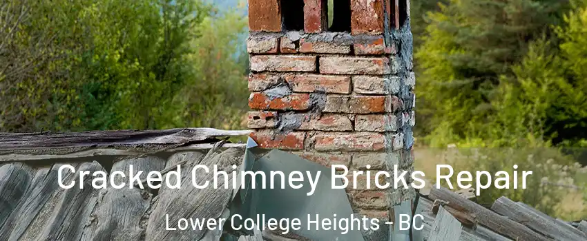  Cracked Chimney Bricks Repair Lower College Heights - BC