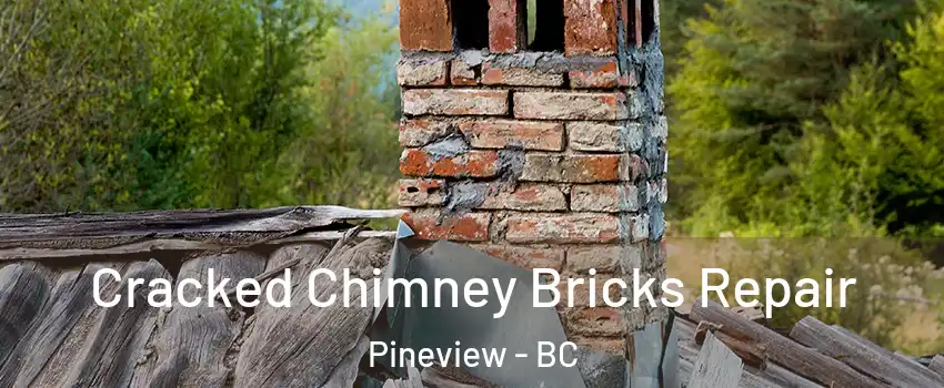  Cracked Chimney Bricks Repair Pineview - BC