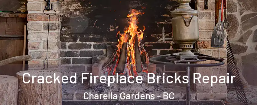  Cracked Fireplace Bricks Repair Charella Gardens - BC