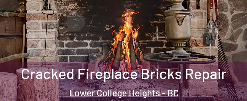  Cracked Fireplace Bricks Repair Lower College Heights - BC