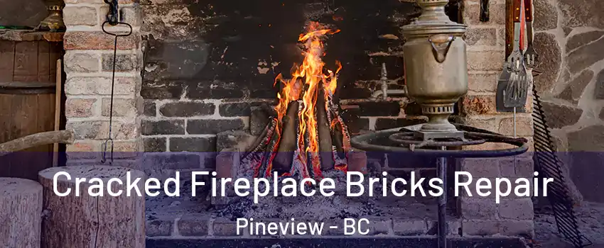  Cracked Fireplace Bricks Repair Pineview - BC