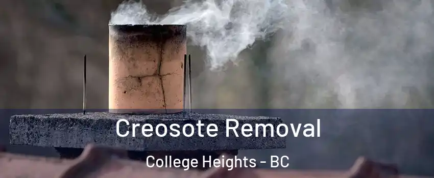  Creosote Removal College Heights - BC