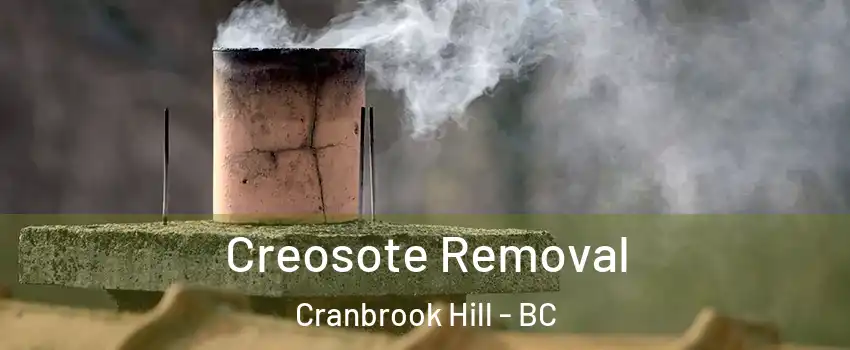  Creosote Removal Cranbrook Hill - BC