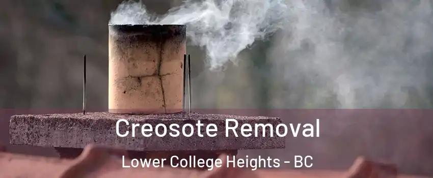  Creosote Removal Lower College Heights - BC