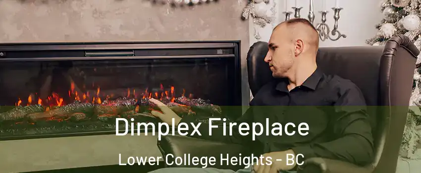  Dimplex Fireplace Lower College Heights - BC