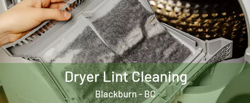  Dryer Lint Cleaning Blackburn - BC