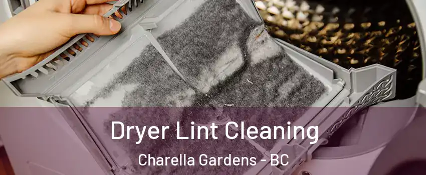  Dryer Lint Cleaning Charella Gardens - BC