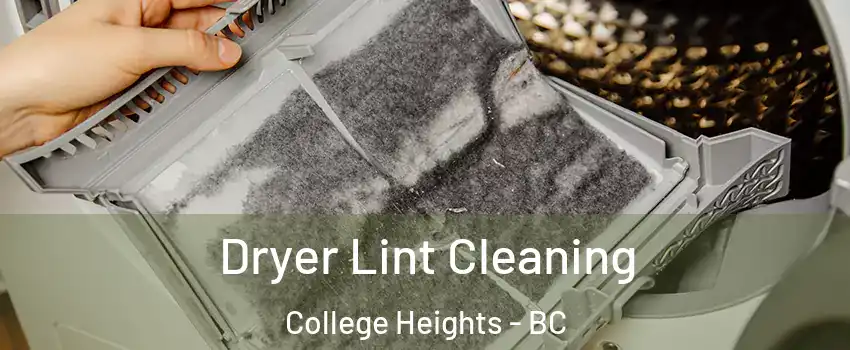  Dryer Lint Cleaning College Heights - BC