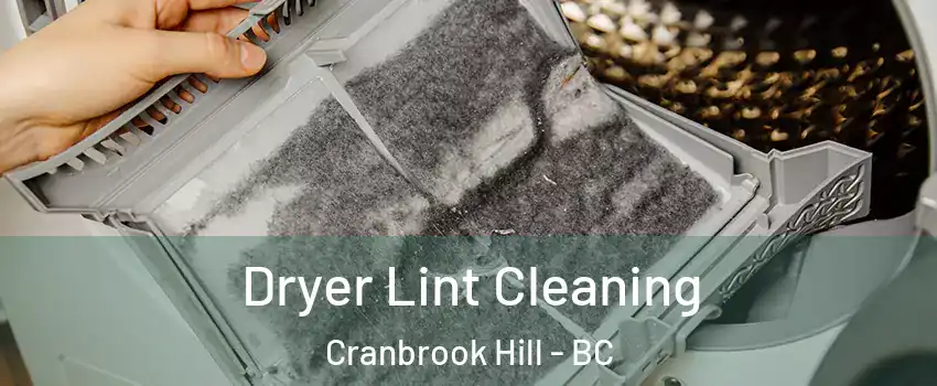  Dryer Lint Cleaning Cranbrook Hill - BC