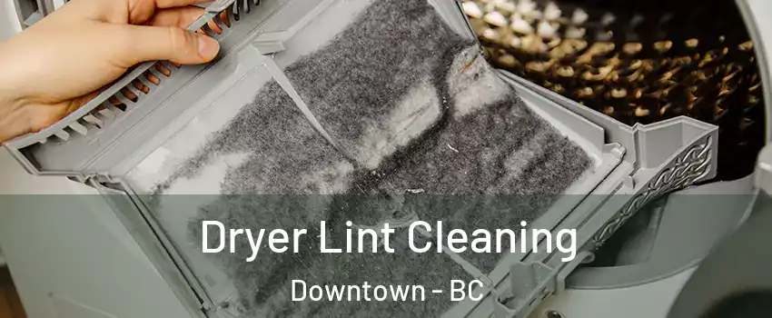  Dryer Lint Cleaning Downtown - BC