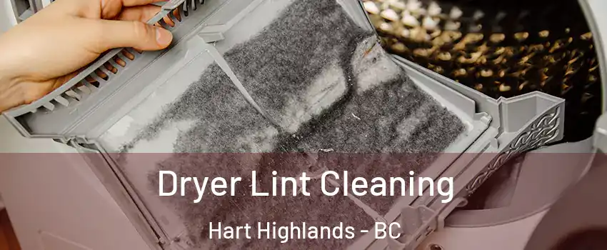  Dryer Lint Cleaning Hart Highlands - BC