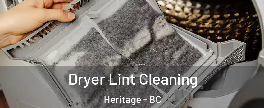  Dryer Lint Cleaning Heritage - BC