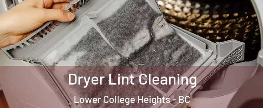  Dryer Lint Cleaning Lower College Heights - BC