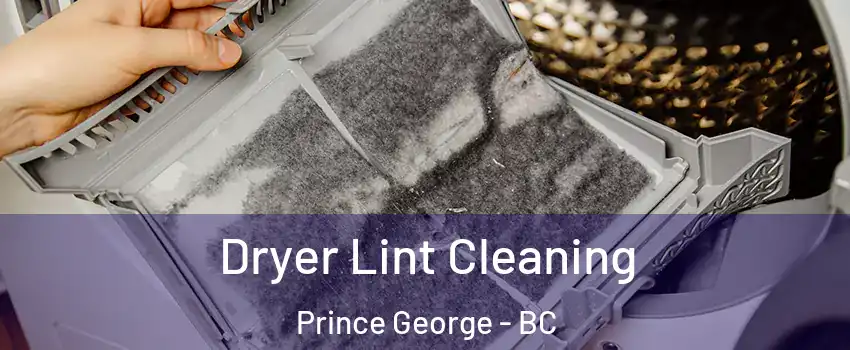  Dryer Lint Cleaning Prince George - BC