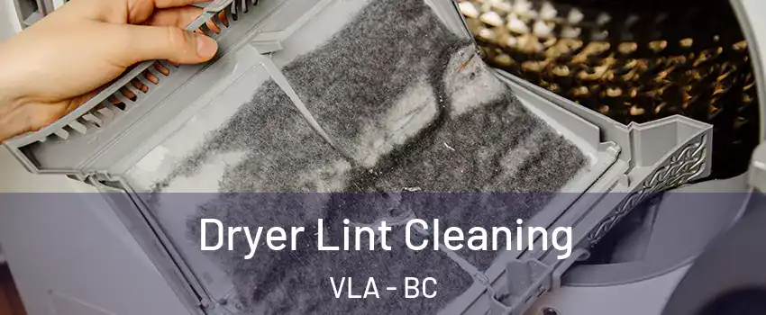  Dryer Lint Cleaning VLA - BC